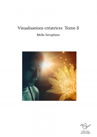 Visualisations créatrices Tome 3