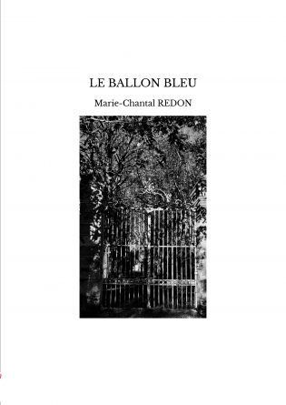 LE BALLON BLEU