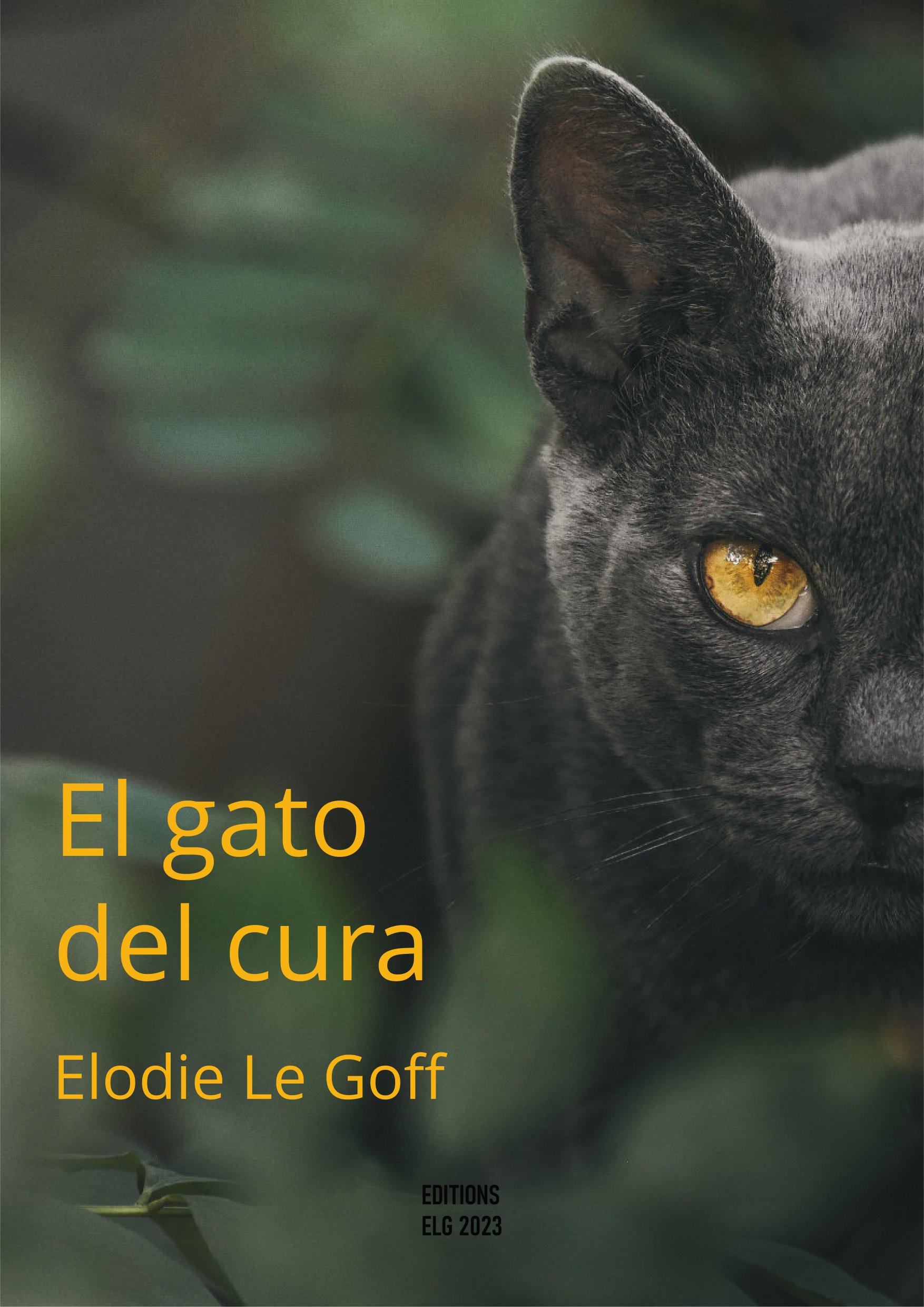 El gato del cura - Elodie LE GOFF