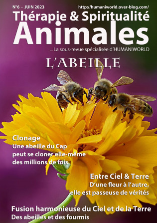 Thérapie et Spiritualité Animales N°6