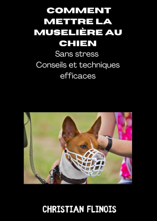 Comment mettre la muselière au chien