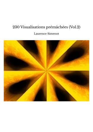 230 Visualisations prémâchées (Vol.2)