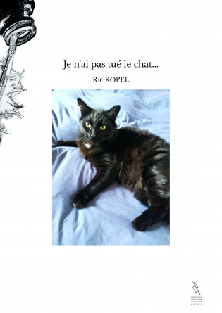 Je n'ai pas tué le chat...