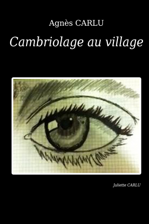 Cambriolage au village