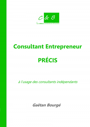 Consultant Entrepreneur