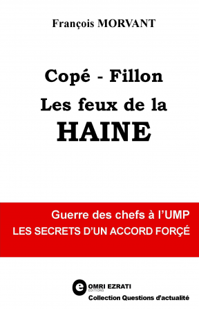 Copé - Fillon : les feux de la haine