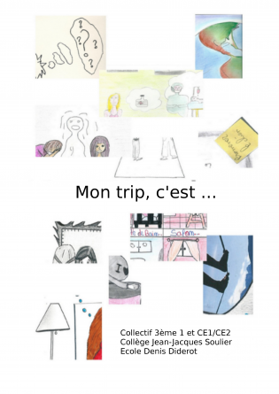 Mon trip, c'est ... Version Couleur