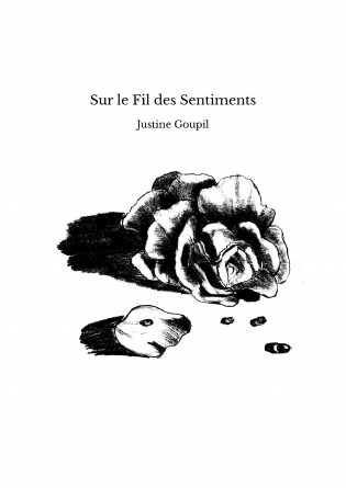 Sur le Fil des Sentiments