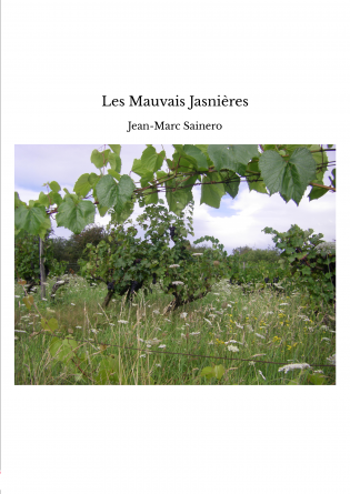 Les Mauvais Jasnières