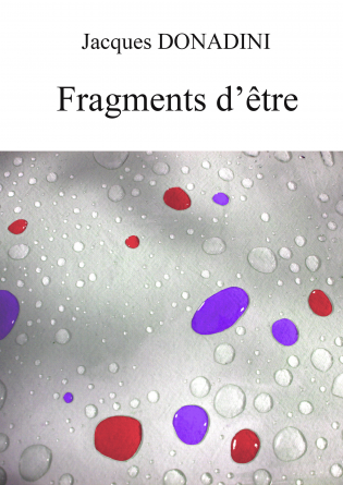 Fragments d'être