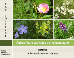 Autres fleurs sauvages de ma campagne