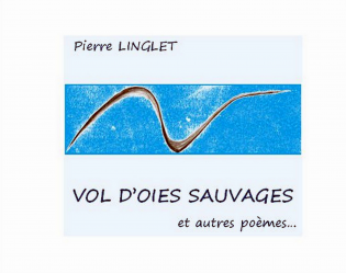 Vol d'oies sauvages et autres poèmes