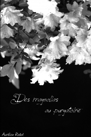 Des magnolias au purgatoire