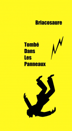 Tombé Dans Les Panneaux