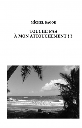 TOUCHE PAS A MON ATTOUCHEMENT !!!