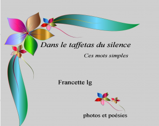 Dans le taffetas du silence 