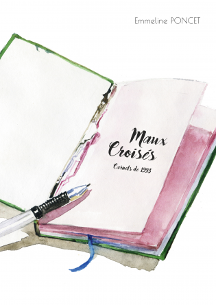 Maux croisés ; carnets de 1993