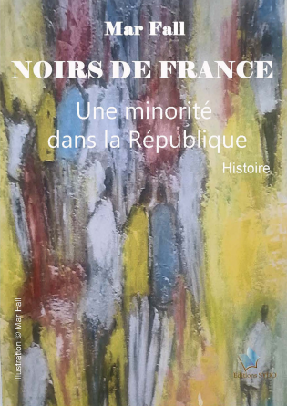 Noirs de France,Une minorité dans la R