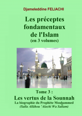 Préceptes de l'Islam. T3/3: La Sounnah