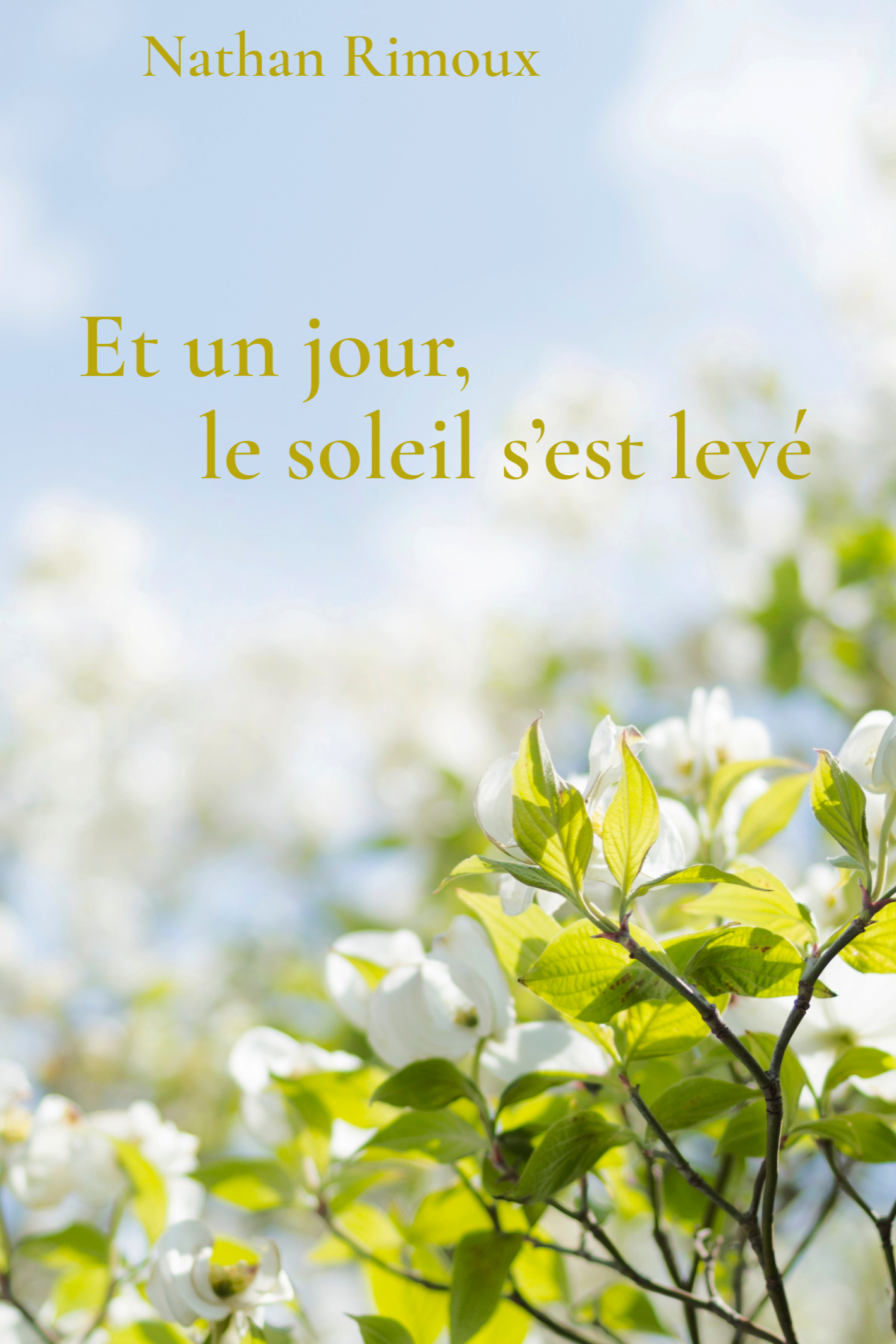 Et un jour, le soleil s'est levé