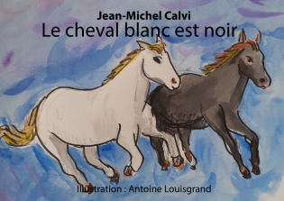 Le cheval blanc est noir