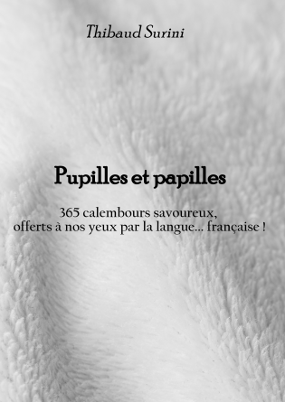 Pupilles et papilles