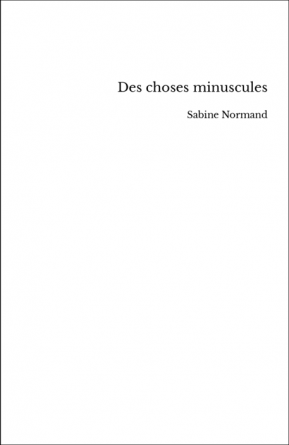 Des choses minuscules