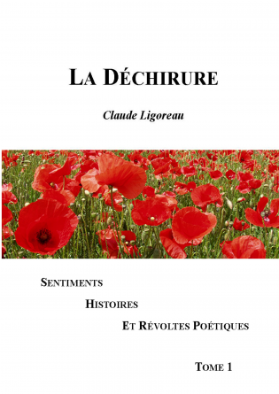 La Déchirure