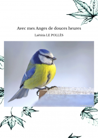 Avec mes Anges de douces heures