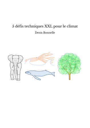 5 défis techniques XXL pour le climat