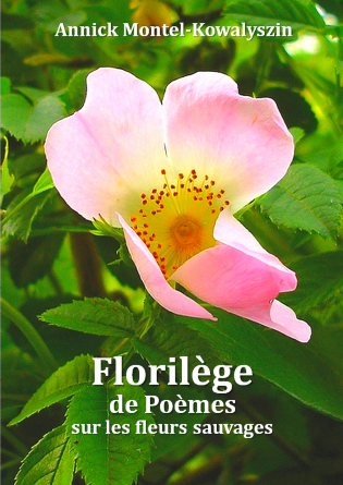 Florilège de Poèmes sur les fleurs