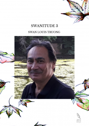 SWANITUDE 3