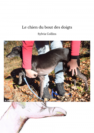 Le chien du bout des doigts