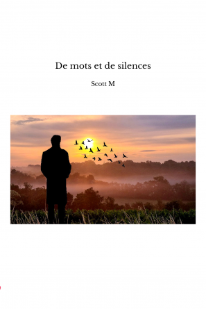 De mots et de silences