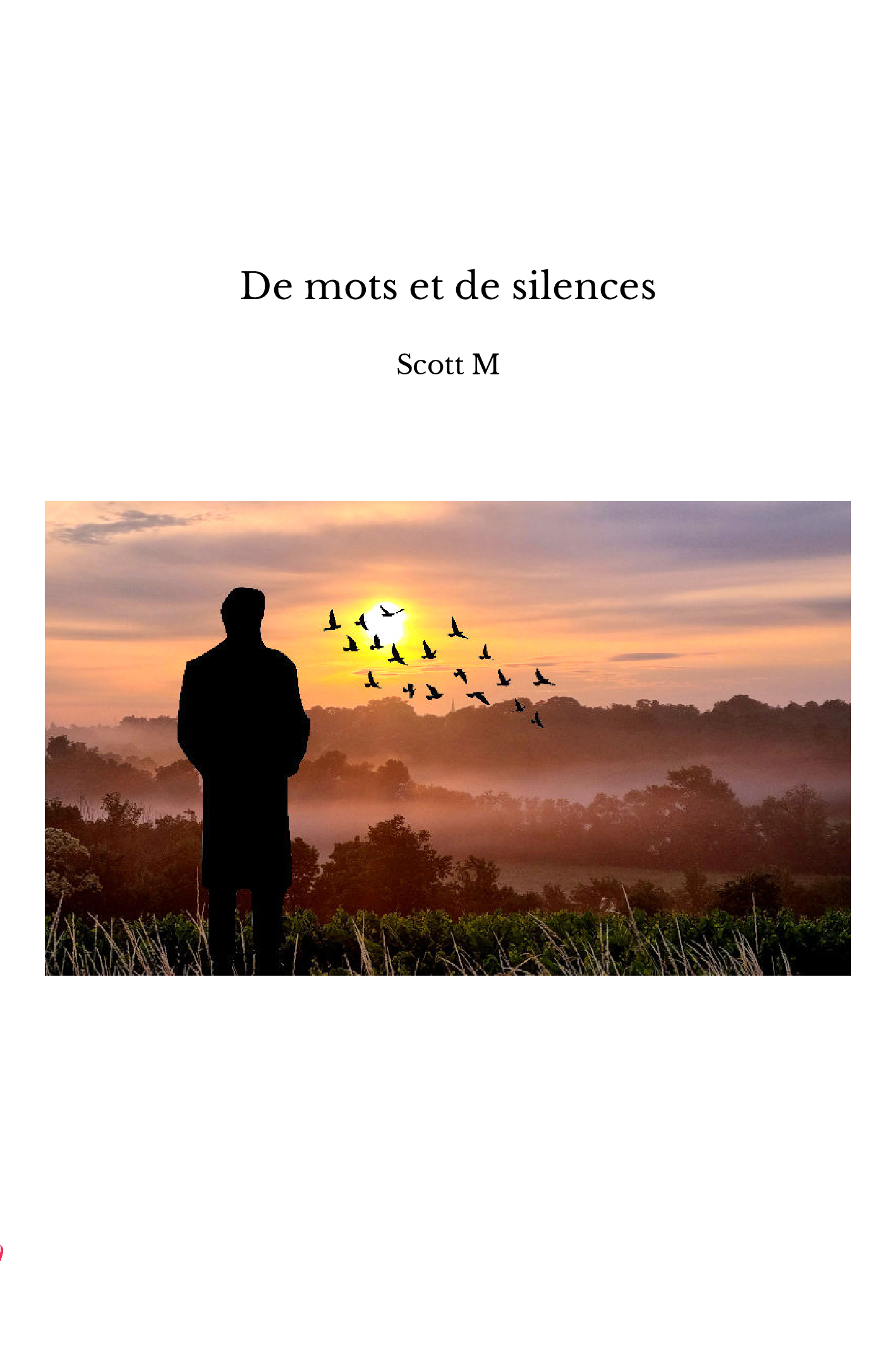 De mots et de silences
