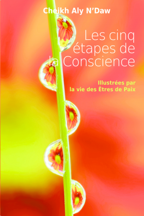 Les cinq etapes de la conscience