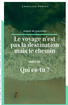 Recueil de nouvelles : Le voyage n'est