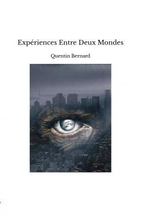 Expériences Entre Deux Mondes