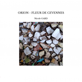 ORION - FLEUR DE CEVENNES