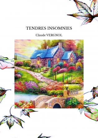 TENDRES INSOMNIES