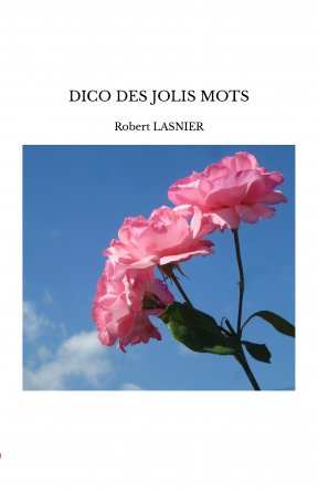 DICO DES JOLIS MOTS