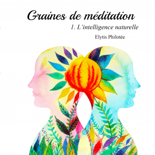 Graines de méditation