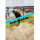 Guide de pêche - Couleur