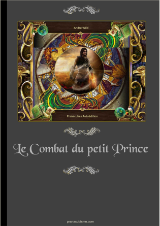 Le Combat du Petit Prince