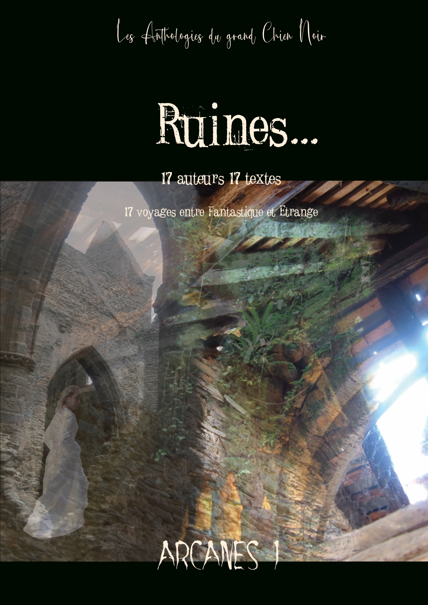 Ruines... 17 auteurs 17 textes 