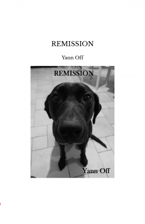 REMISSION