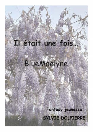 Il était une fois... BlueMaëlyne