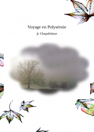 Voyage en Polysémie