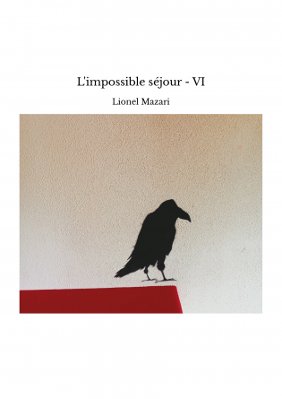 L'impossible séjour - VI