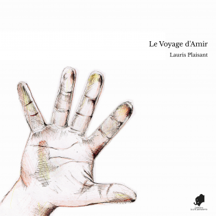 Le Voyage d'Amir